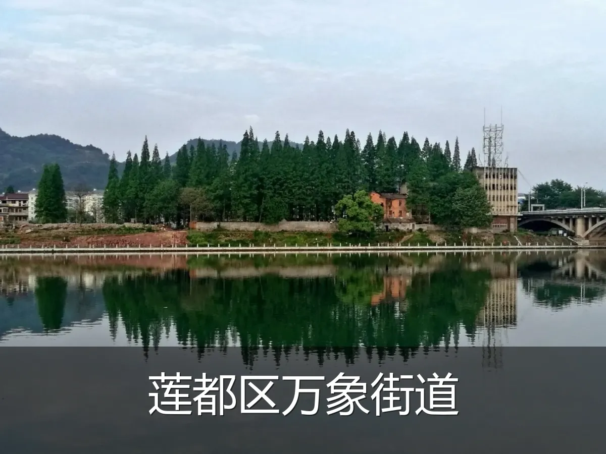 莲都区万象街道