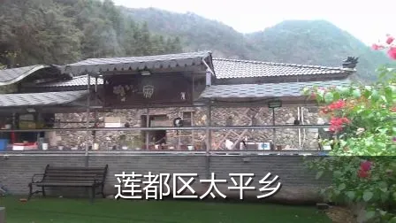 莲都区太平乡