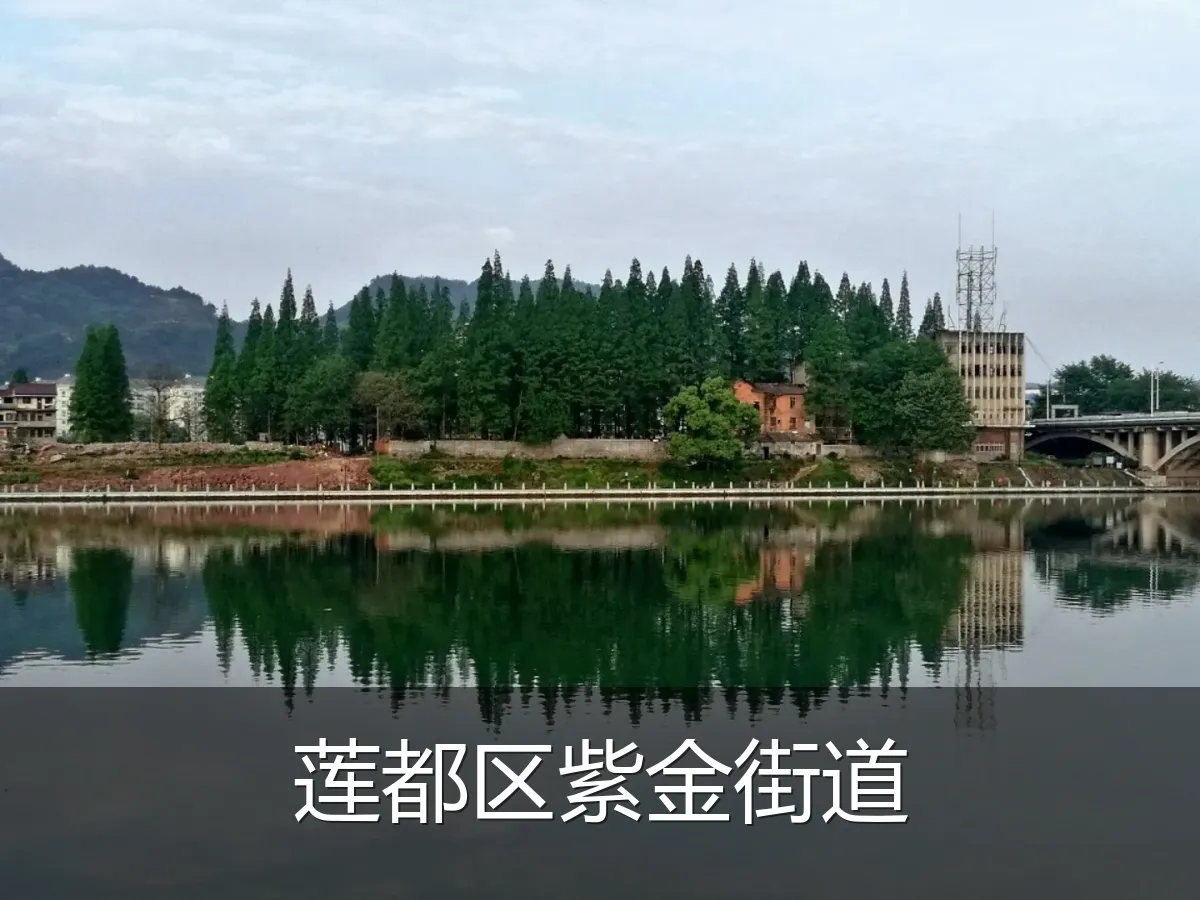 莲都区紫金街道