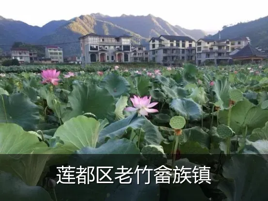 莲都区老竹畲族镇