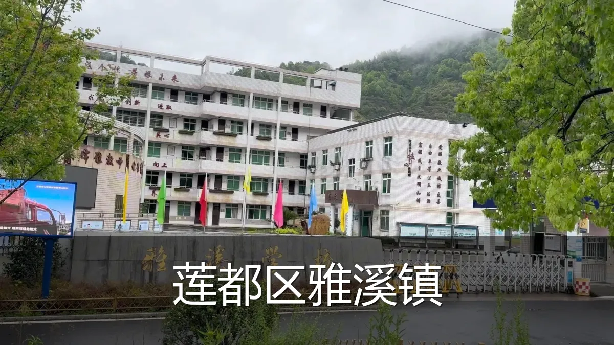 莲都区雅溪镇