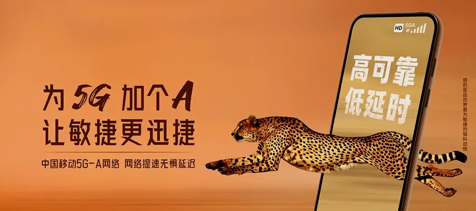 莲都区莲都金瓯佳苑 移动宽带